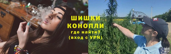 индика Новокубанск