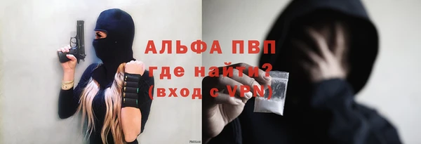 скорость Новозыбков