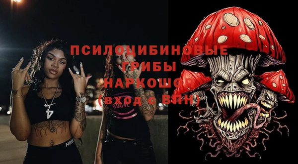 индика Новокубанск