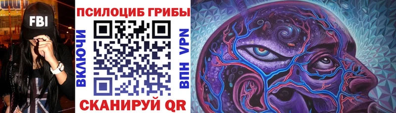 Галлюциногенные грибы Magic Shrooms  где продают   Константиновск 